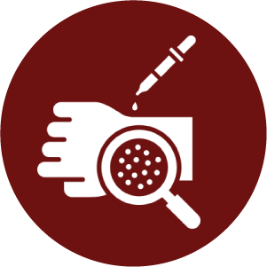 1744781477_Dermatology.png